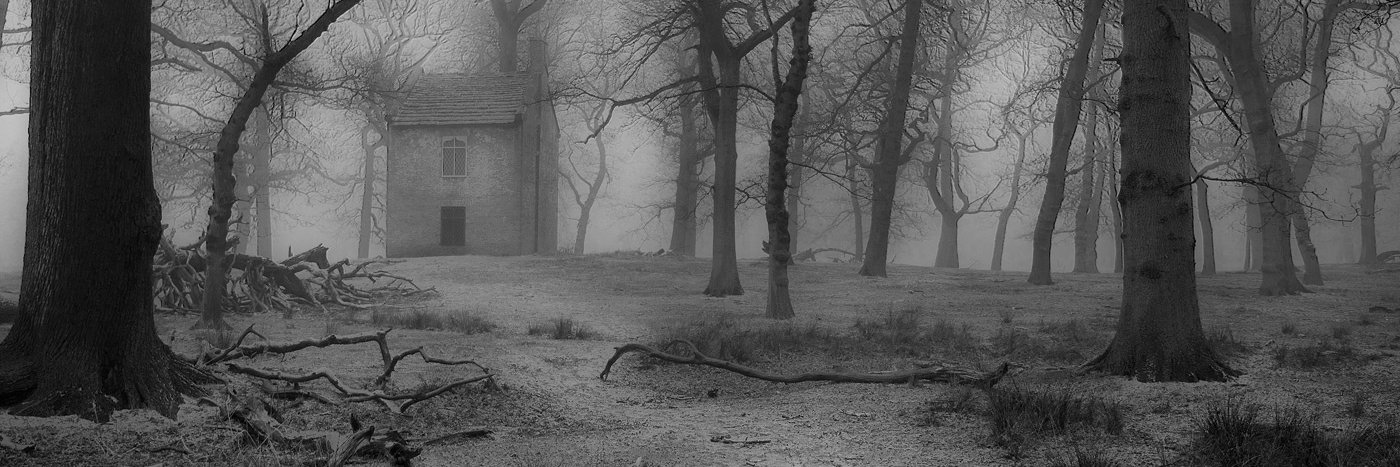 411Paranormal's profile banner image