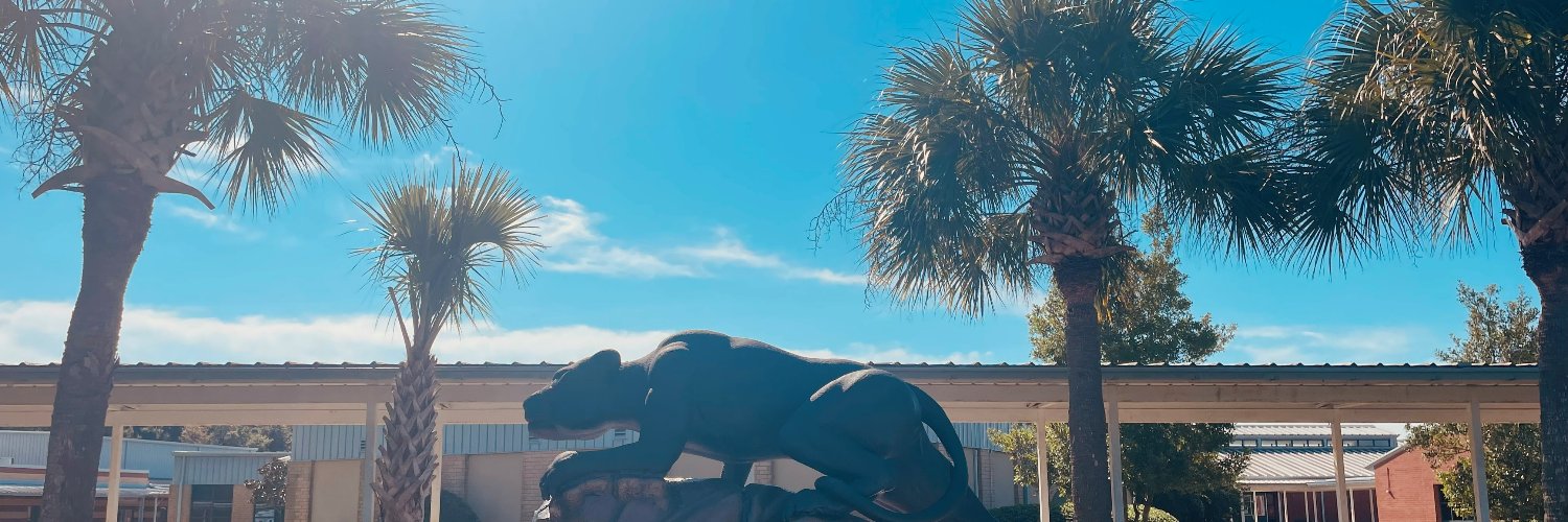 CFHS Counselors banner