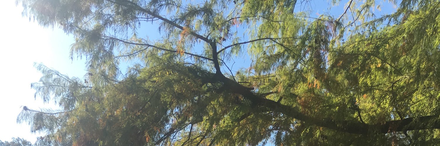 NoKoolAid☮️ banner