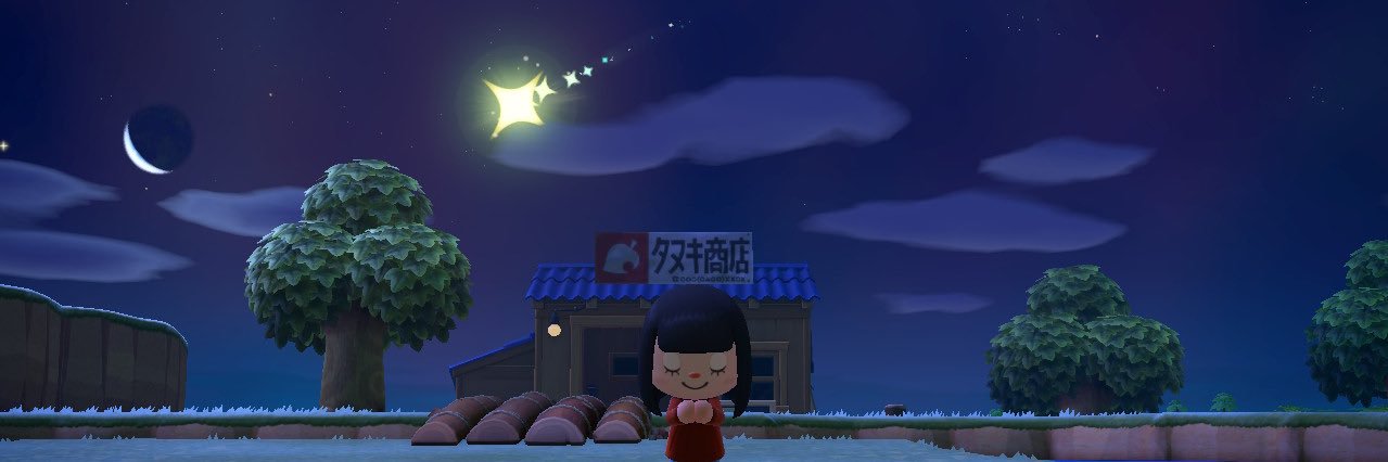 ryo_kitten's profile banner image