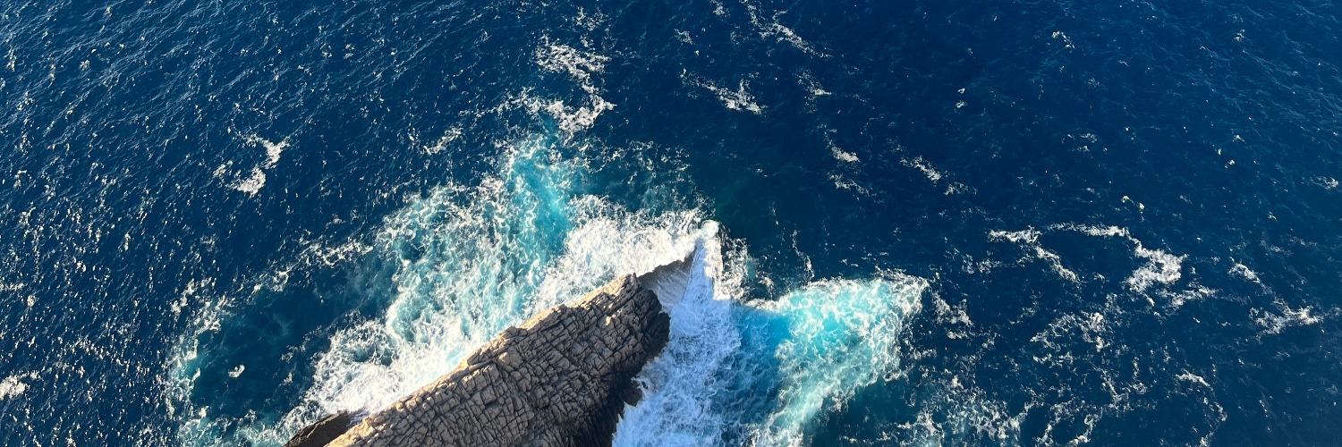 Daniela Hinchman-Dominguez banner