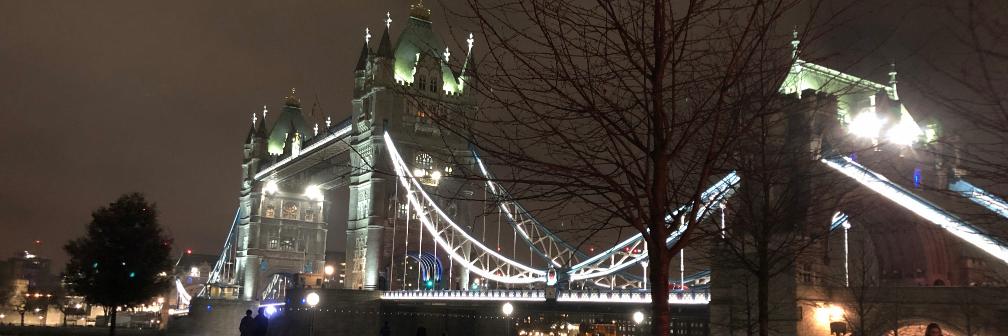 Dr Melissa Jogie banner