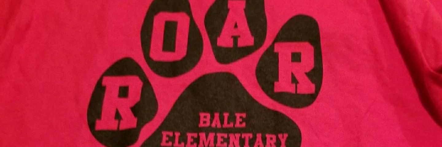 BaleElementaryLRSD banner