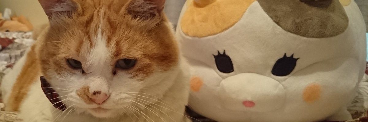 あるせあ🜸まんどら🌱 banner