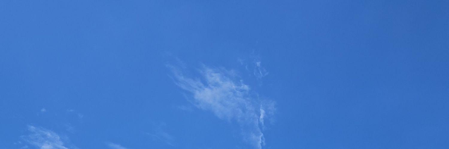 joca_angel's profile banner image