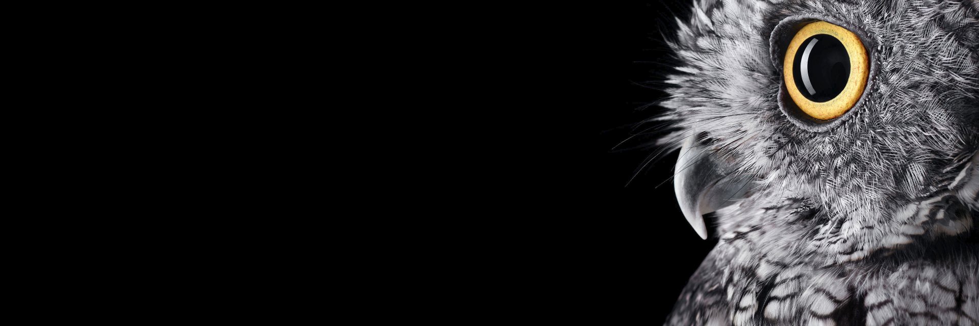 tehh4ck3r's profile banner image