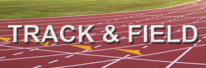 DS Tiger Track banner