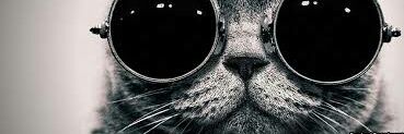 BustosTamar's profile banner image