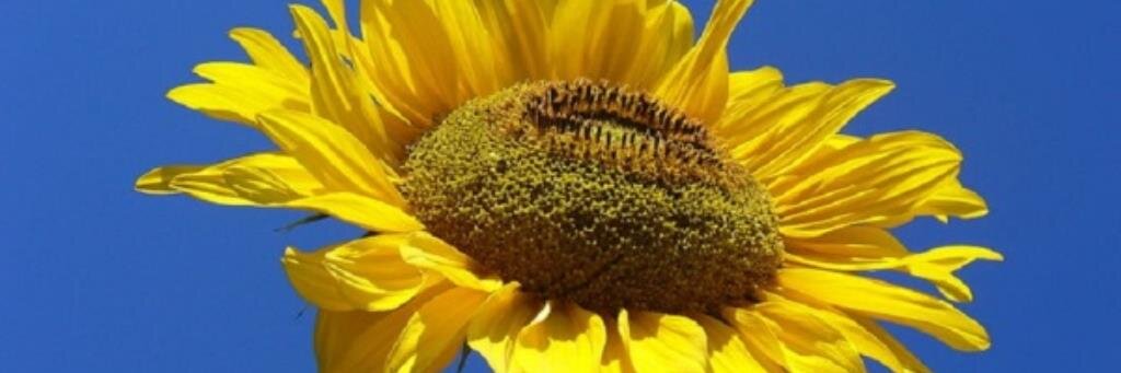 bebrighterlife's profile banner image