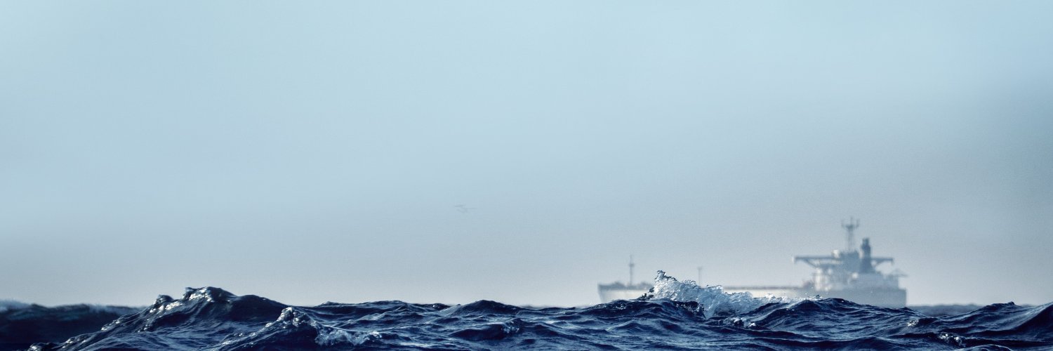 Copenhagen Malmö Port banner
