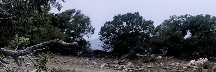 bindhaifallah's profile banner image