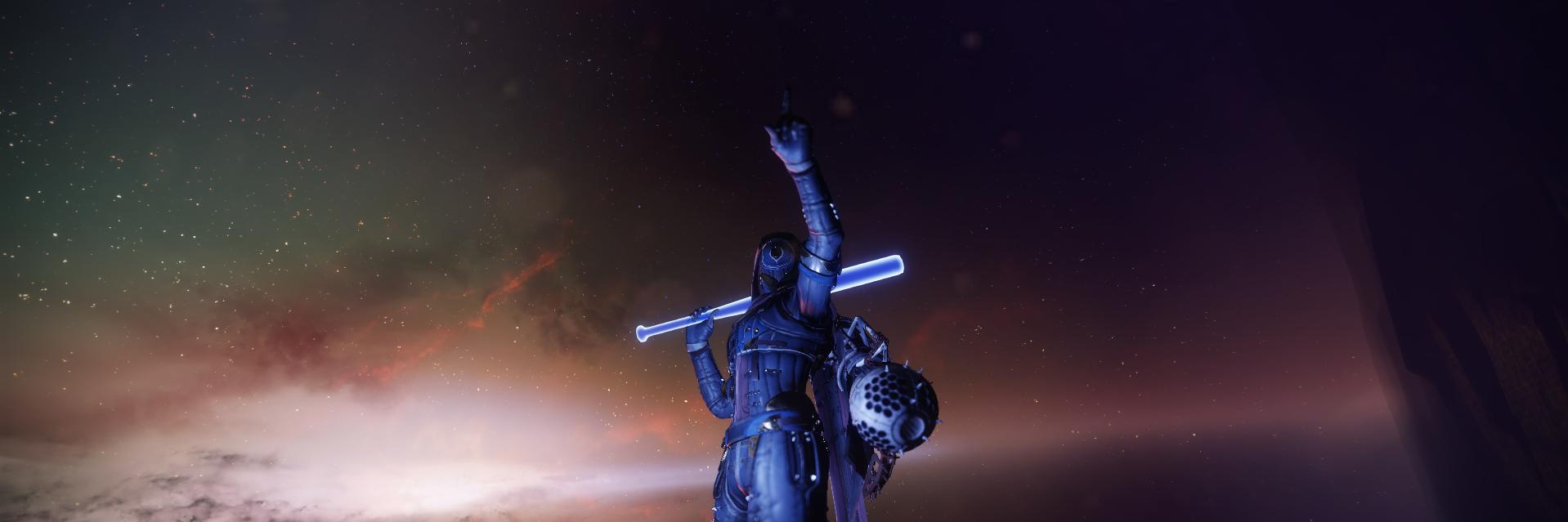 Bear banner