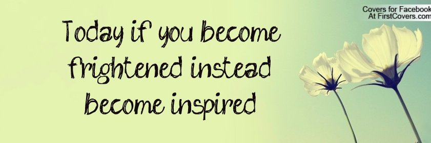 Ms. Donnellan banner