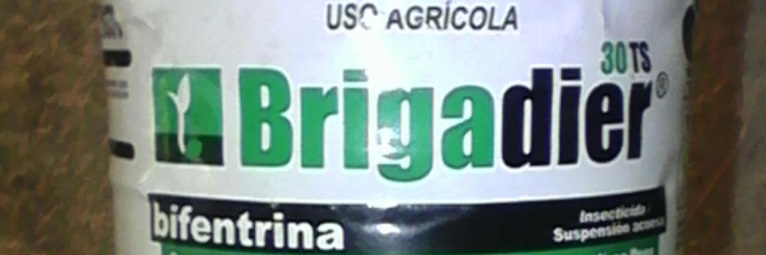 BremerLibrado's profile banner image