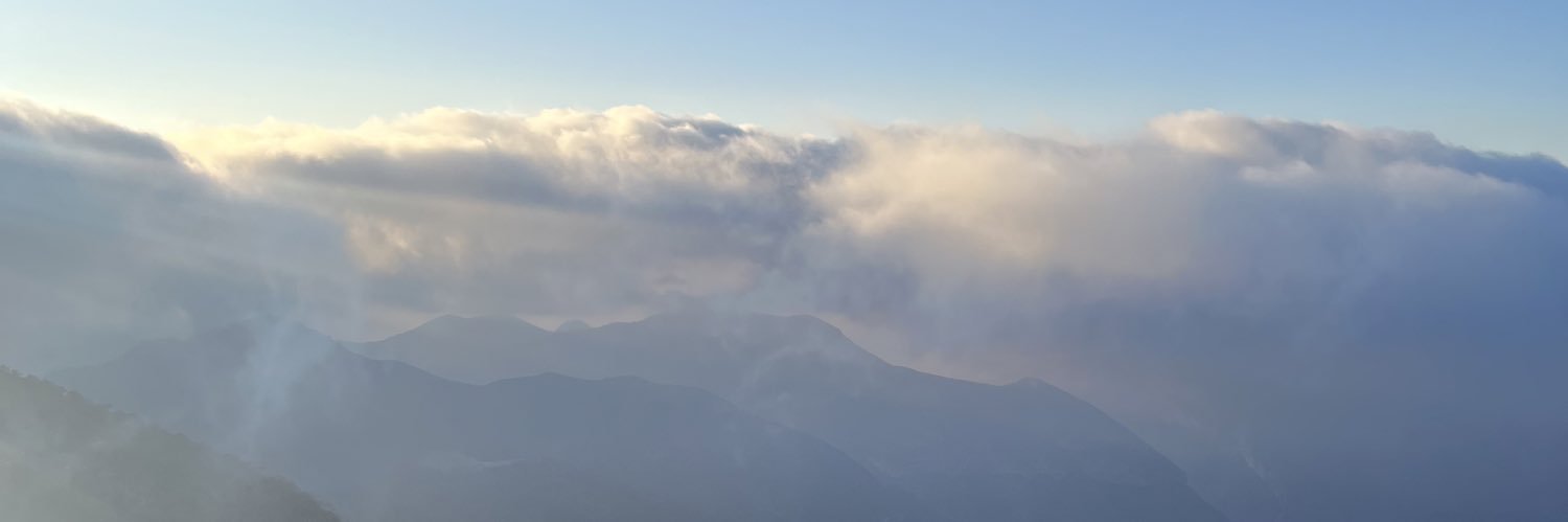 Paolaolin7's profile banner image