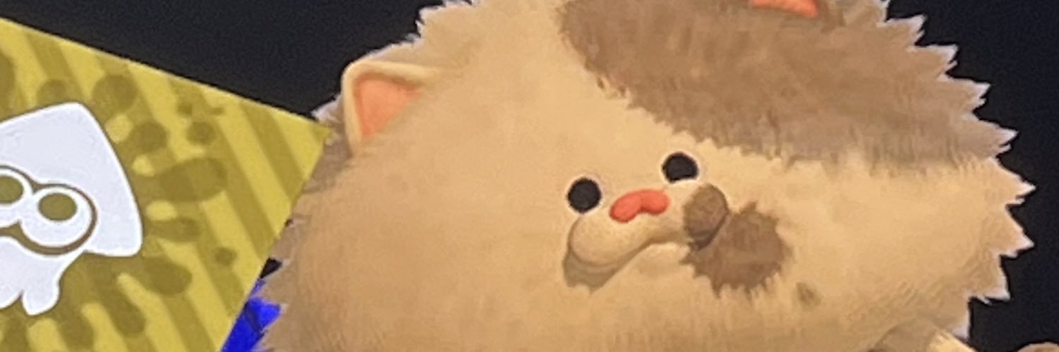 zplatooon's profile banner image