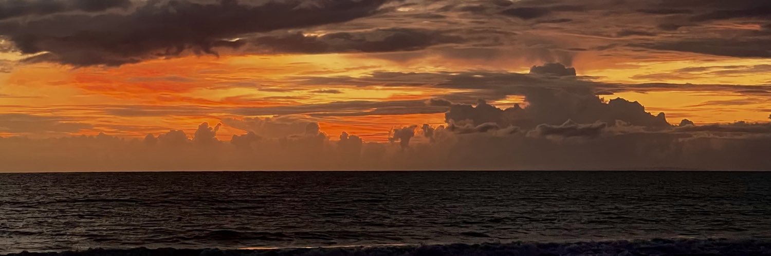 mayangalya's profile banner image