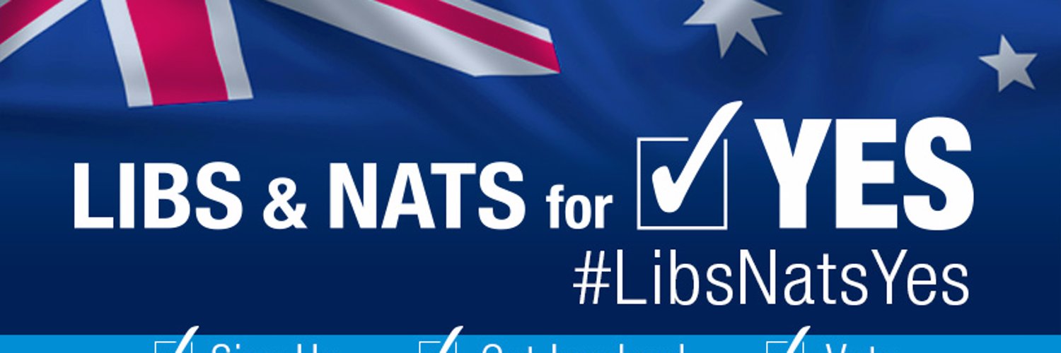 Libs & Nats for YES Profile Banner