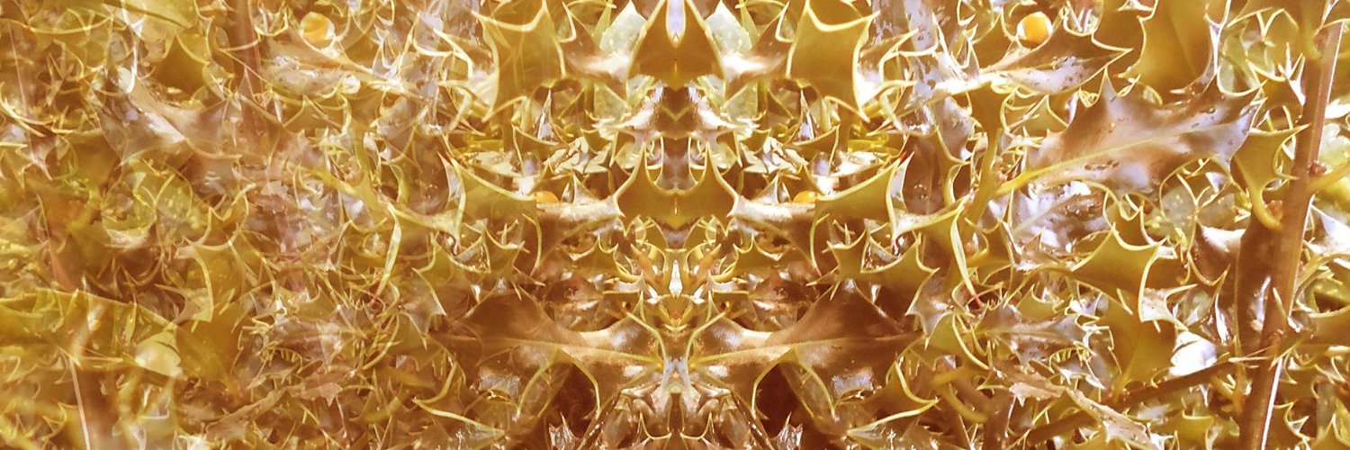 Stephanie Lynne Thorburn. banner