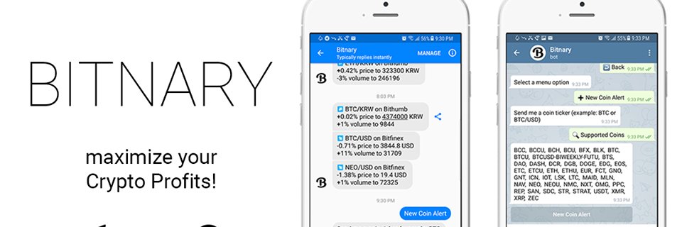 bitnarybot's profile banner image