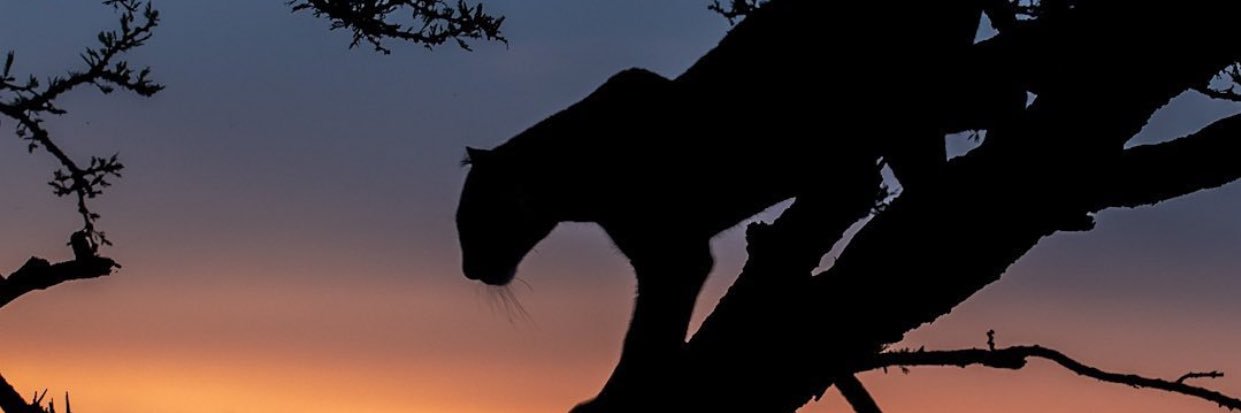 W__Winnie's profile banner image
