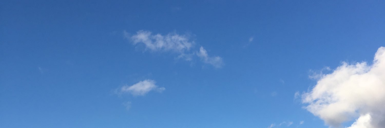 tt08374796's profile banner image