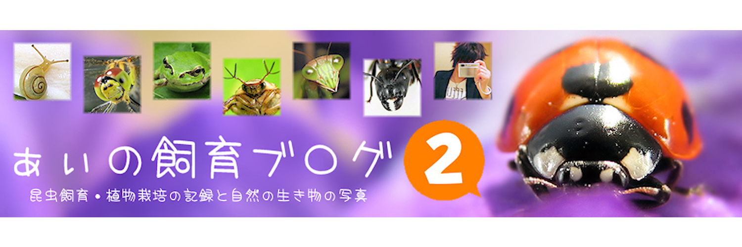 ainoshiikublog's profile banner image