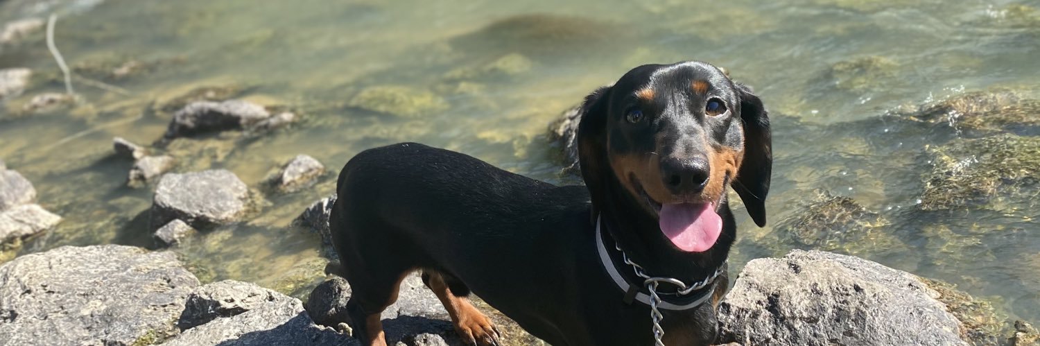 Lanneeey's profile banner image