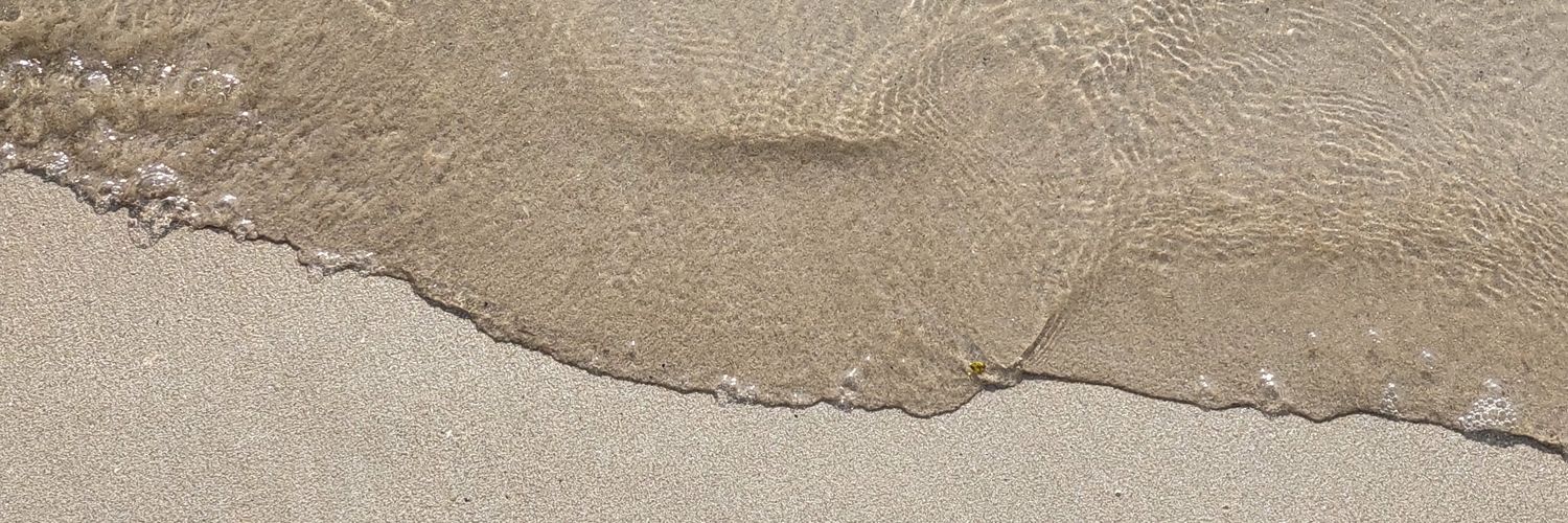 naee_twt's profile banner image