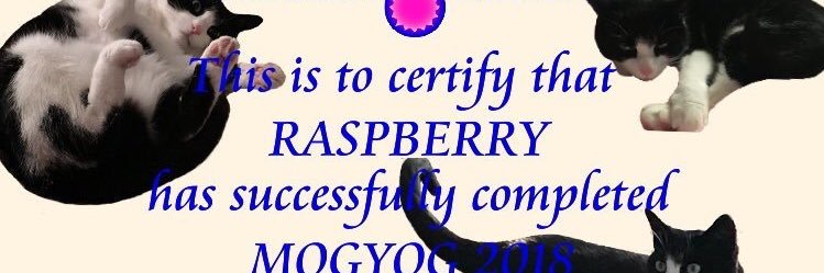 Raspberry banner