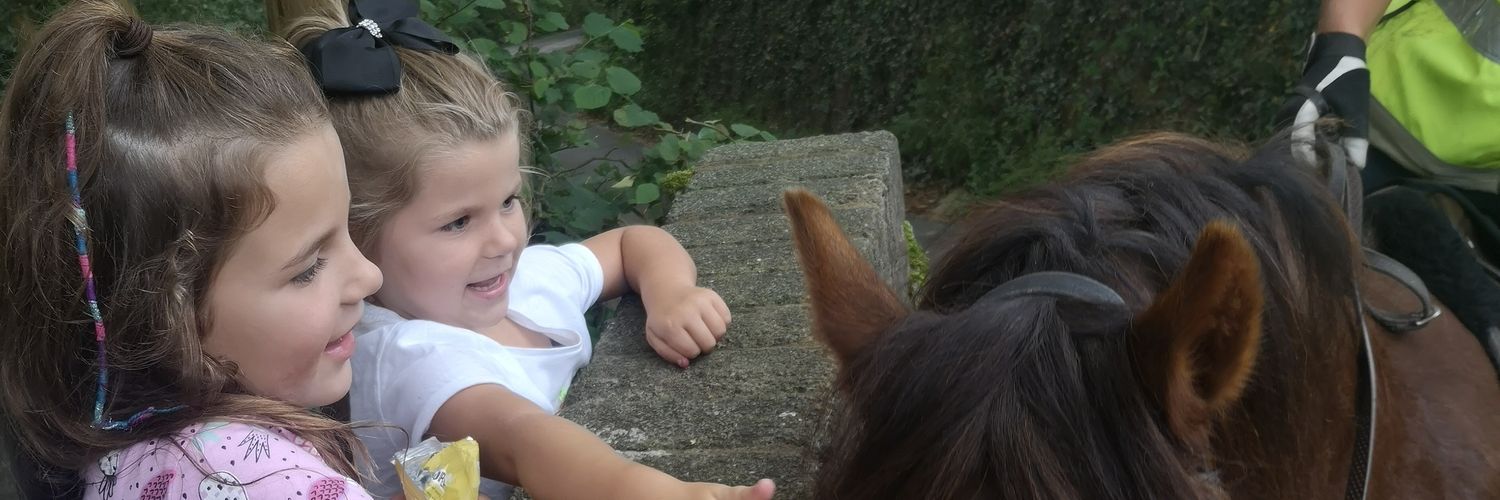 David Fenwick banner