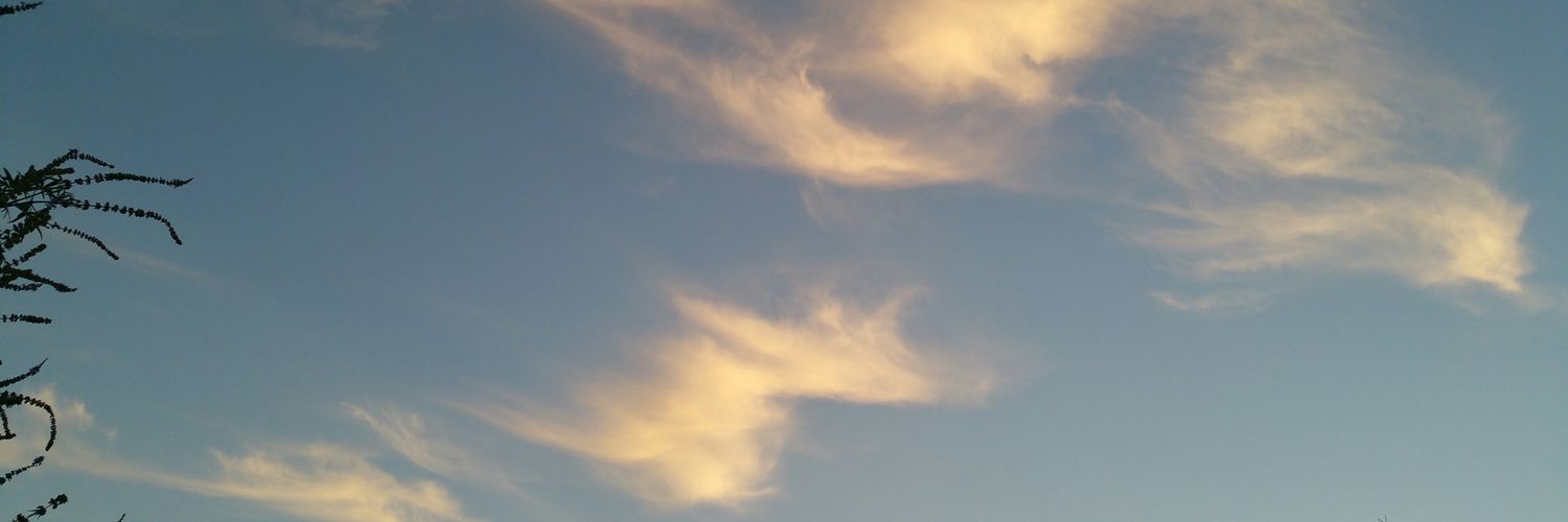 JoTrimarchi's profile banner image