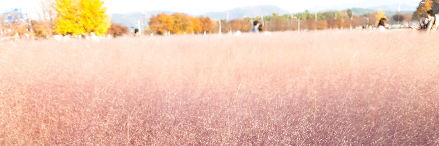 harumiso11's profile banner image