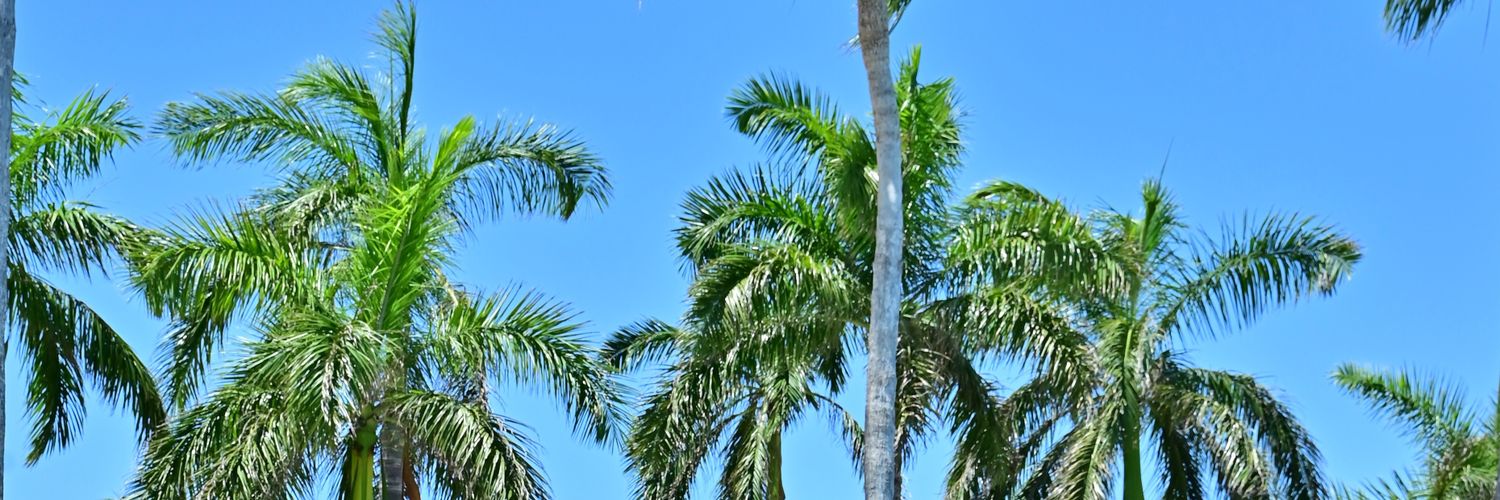 Aquacate banner