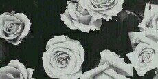 x_annejet's profile banner image