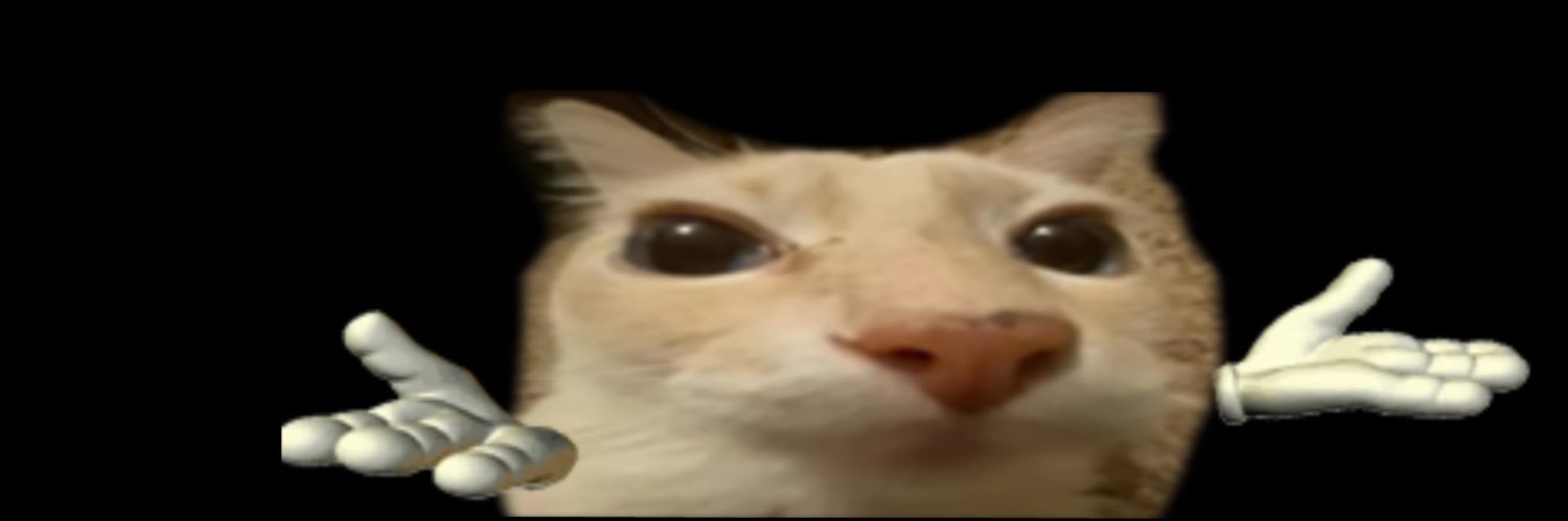 nydbhs's profile banner image