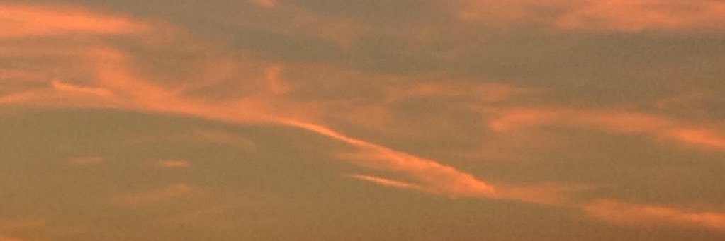danciiingdead's profile banner image