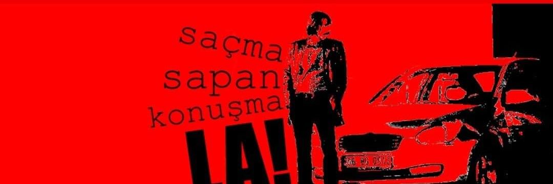 slmcylnn's profile banner image