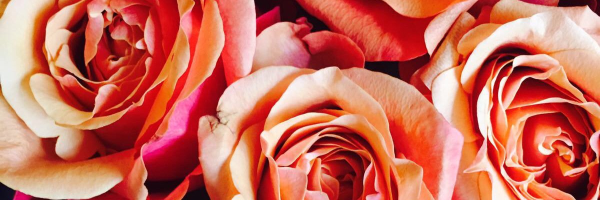 bethy1979's profile banner image