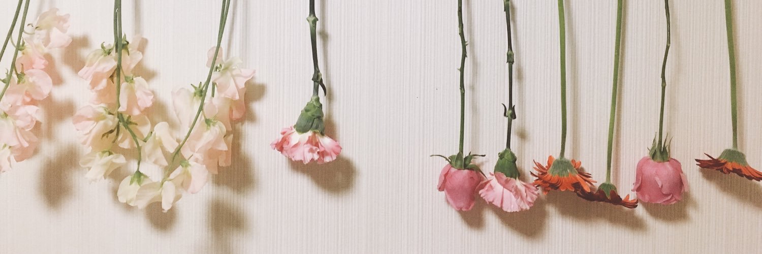 720Rei's profile banner image