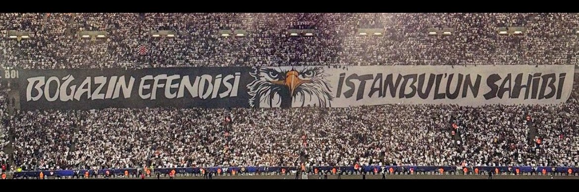 rosalinstalin's profile banner image