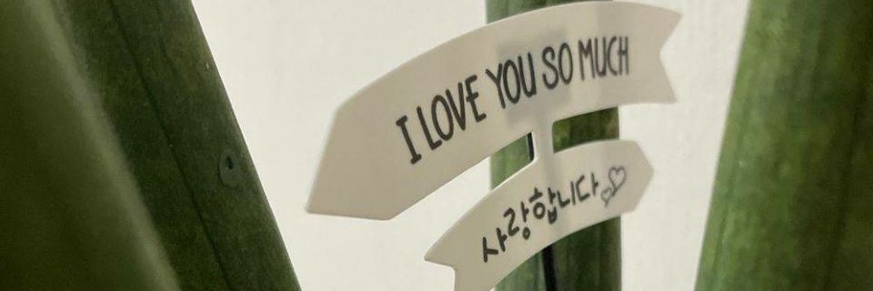 ovikim95's profile banner image