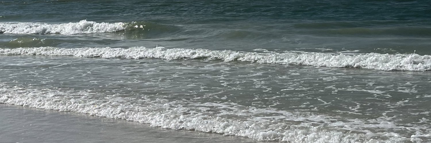 morganbabinski's profile banner image