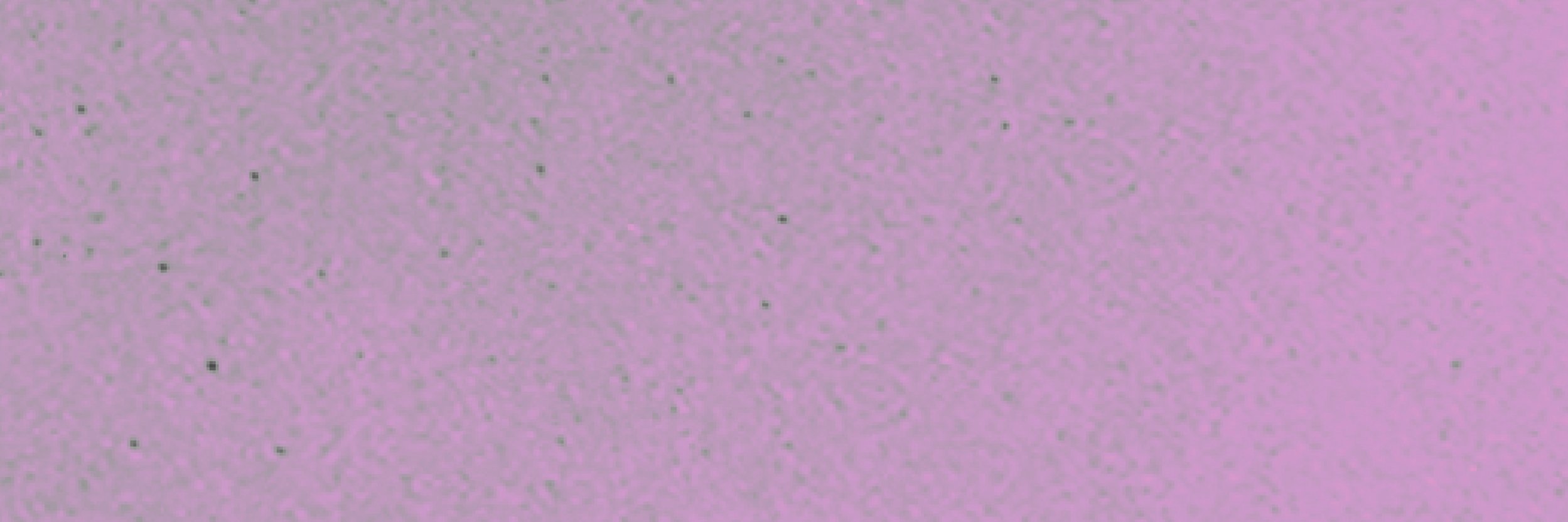 NWDB banner