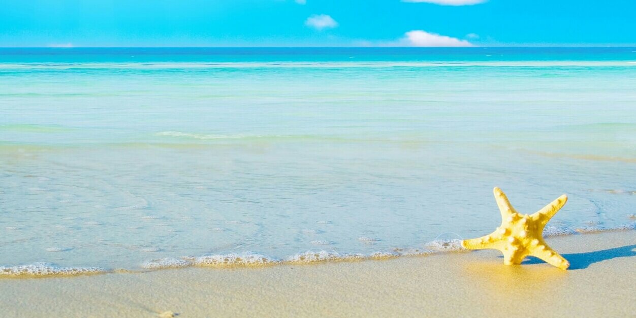 dianchany12's profile banner image
