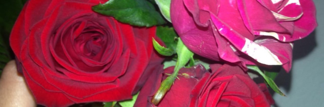 Loanne Cayrou banner