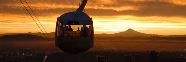 DrLaraDavis Profile Banner