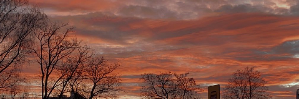 oplatoja's profile banner image