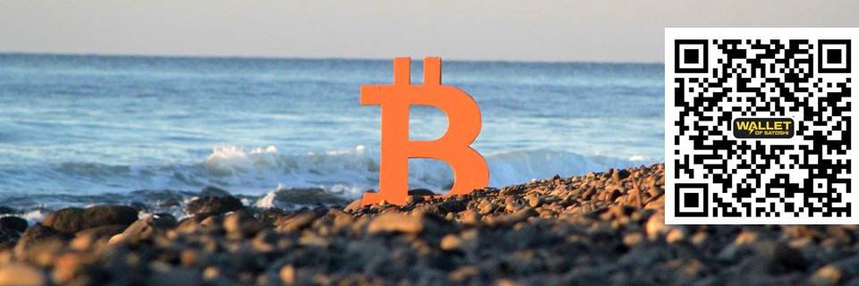 BitcoinerHodl's profile banner image