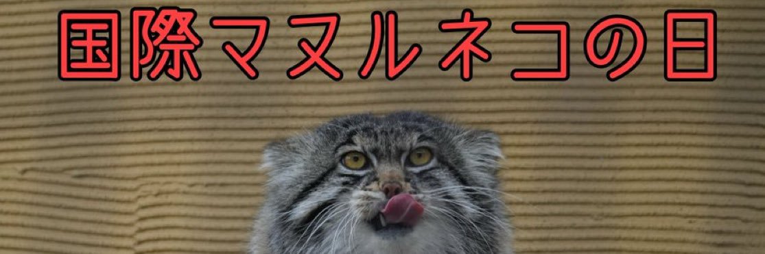 ✦'s banner